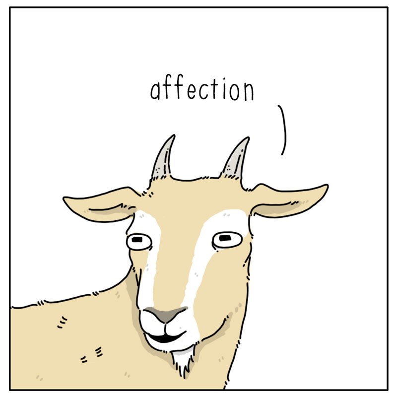 https://cdn.tinyview.com/they-can-talk/2023/03/17/affection/cat_affection4.jpg