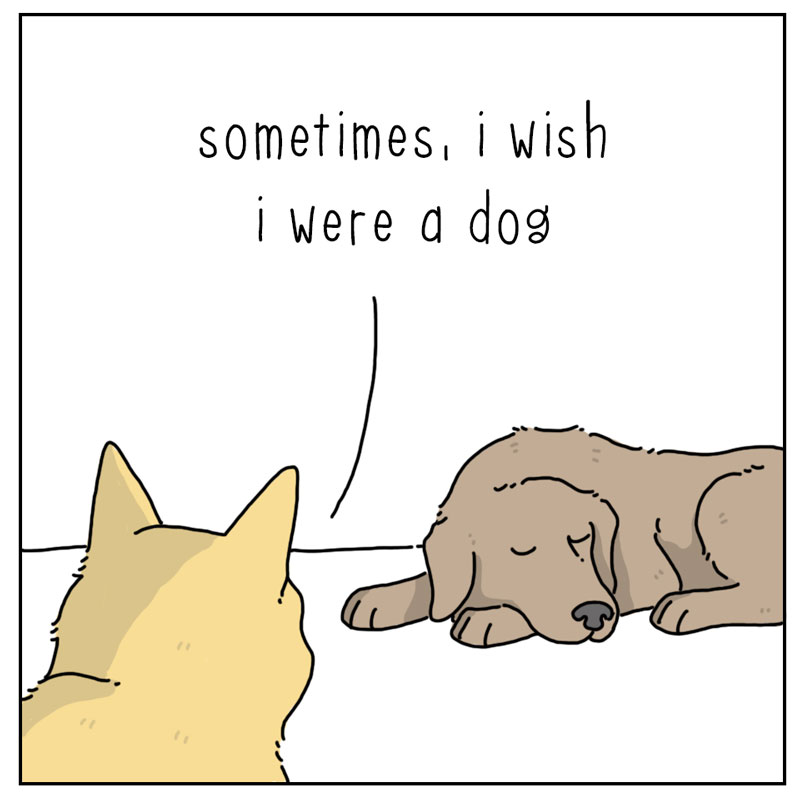 https://cdn.tinyview.com/they-can-talk/2023/03/20/wish/dog_wish3.jpg