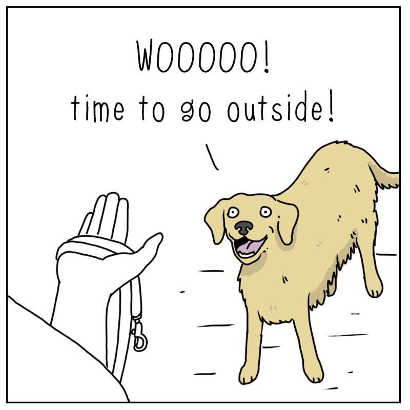 https://cdn.tinyview.com/they-can-talk/2023/03/24/outside/dog_outside1.jpg