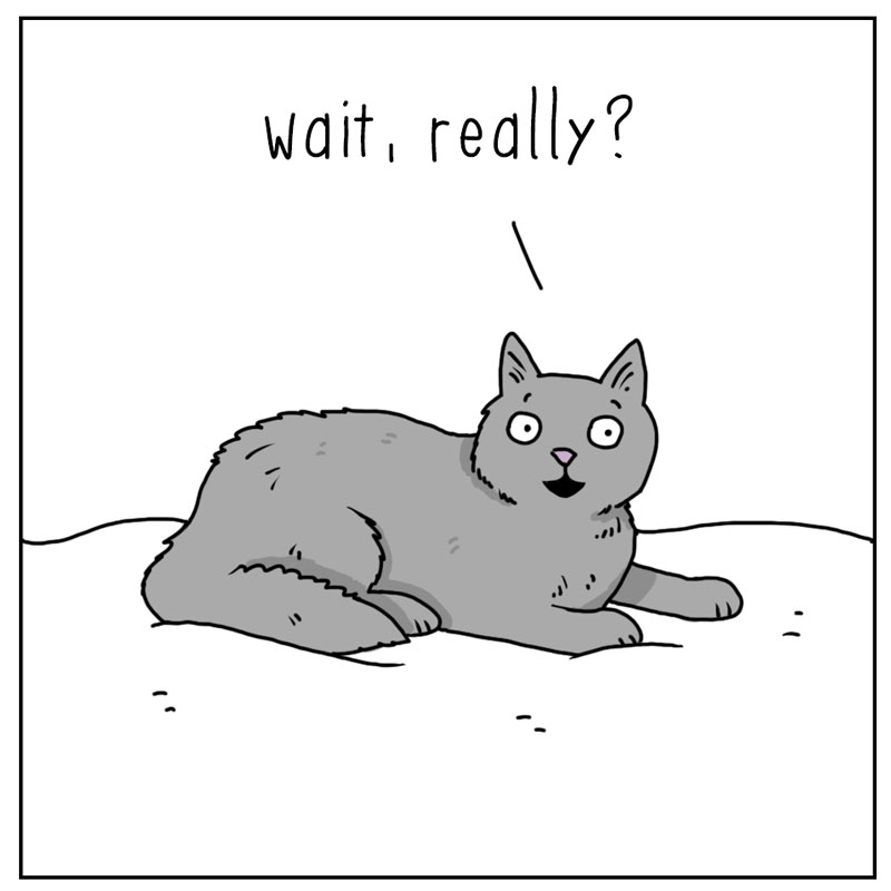 https://cdn.tinyview.com/they-can-talk/2023/03/24/outside/dog_outside2.jpg