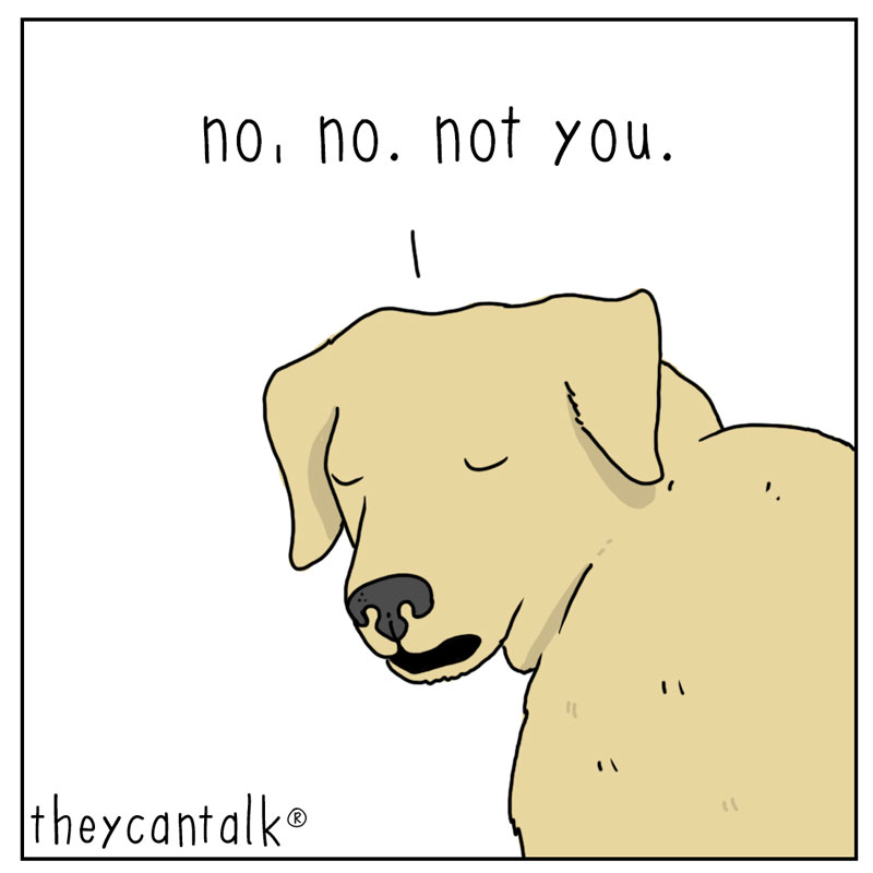 https://cdn.tinyview.com/they-can-talk/2023/03/24/outside/dog_outside3.jpg