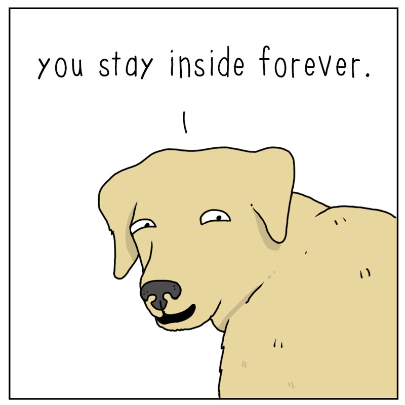 https://cdn.tinyview.com/they-can-talk/2023/03/24/outside/dog_outside4.jpg