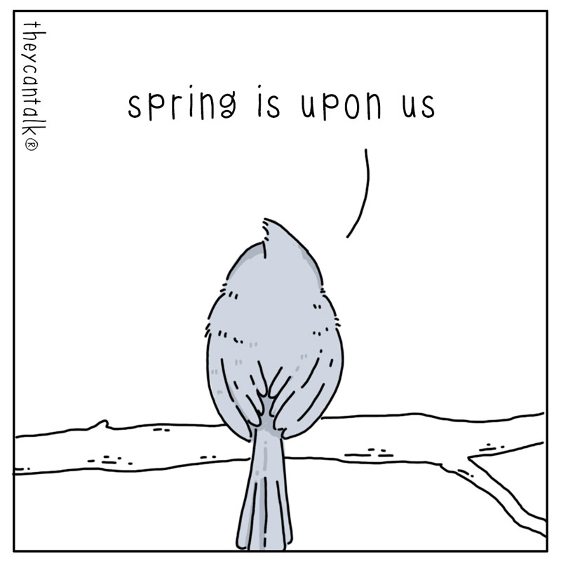 https://cdn.tinyview.com/they-can-talk/2023/03/31/spring/birds_spring1.jpg
