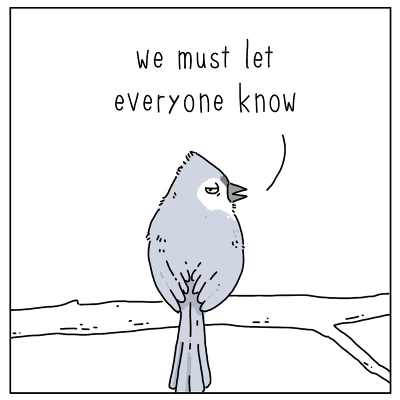 https://cdn.tinyview.com/they-can-talk/2023/03/31/spring/birds_spring2.jpg