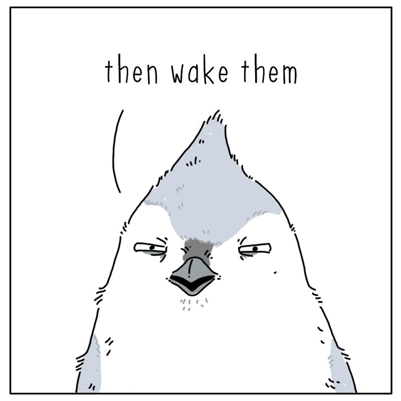 https://cdn.tinyview.com/they-can-talk/2023/03/31/spring/birds_spring4.jpg
