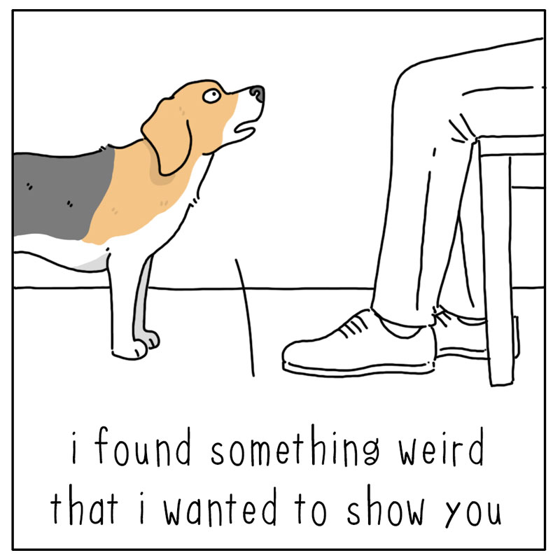https://cdn.tinyview.com/they-can-talk/2023/04/03/assistance/dog_identify1.jpg