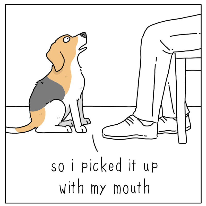 https://cdn.tinyview.com/they-can-talk/2023/04/03/assistance/dog_identify2.jpg