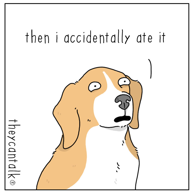https://cdn.tinyview.com/they-can-talk/2023/04/03/assistance/dog_identify3.jpg
