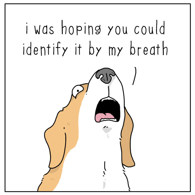https://cdn.tinyview.com/they-can-talk/2023/04/03/assistance/dog_identify4.jpg
