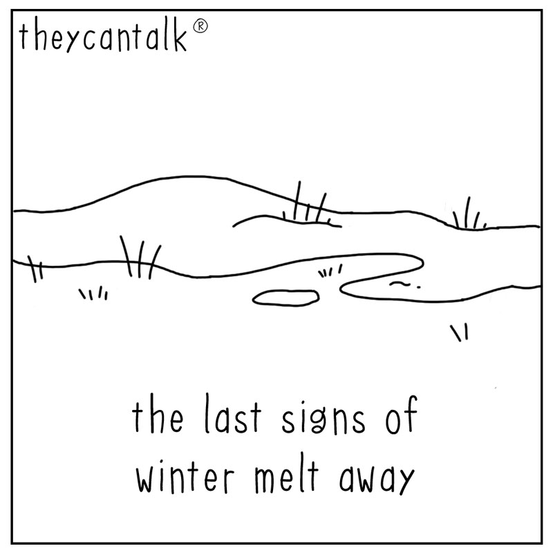 https://cdn.tinyview.com/they-can-talk/2023/04/07/poetic/stinkbug_spring1.jpg