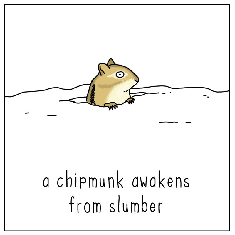 https://cdn.tinyview.com/they-can-talk/2023/04/07/poetic/stinkbug_spring3.jpg