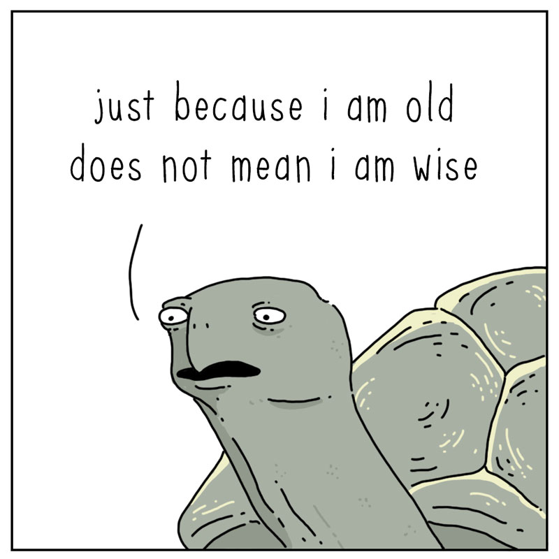 https://cdn.tinyview.com/they-can-talk/2023/04/10/wise/tortoise_wise2.jpg