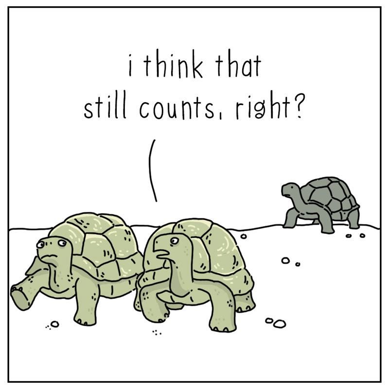https://cdn.tinyview.com/they-can-talk/2023/04/10/wise/tortoise_wise3.jpg