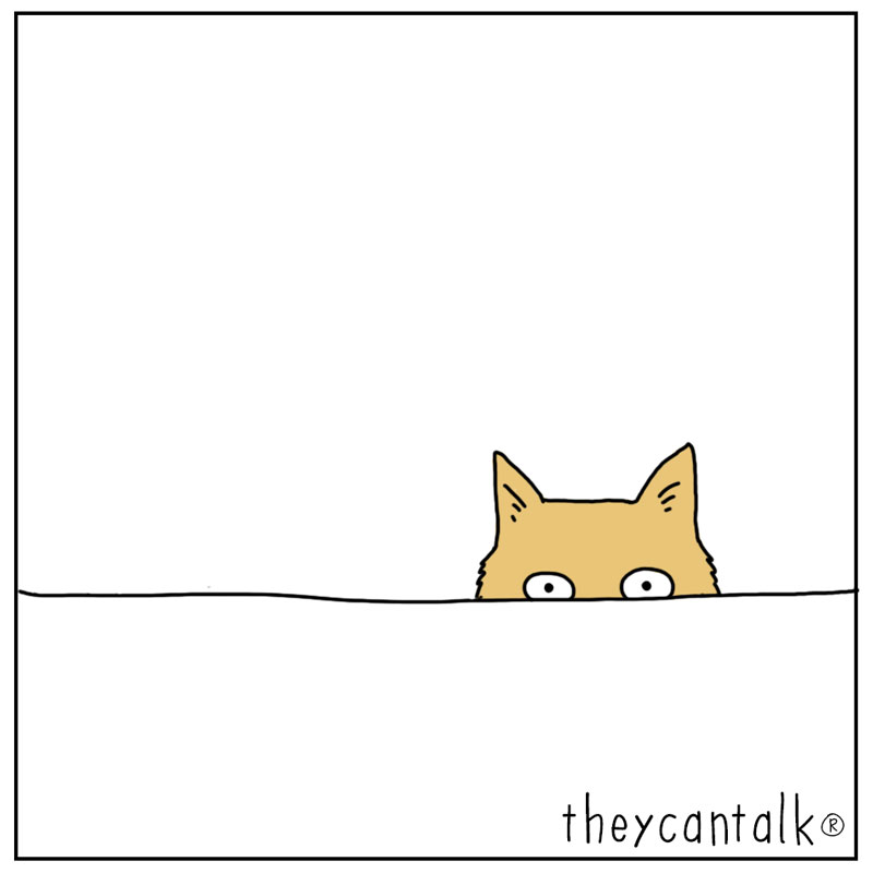 https://cdn.tinyview.com/they-can-talk/2023/04/13/sandwich/cat_sandwich4.jpg