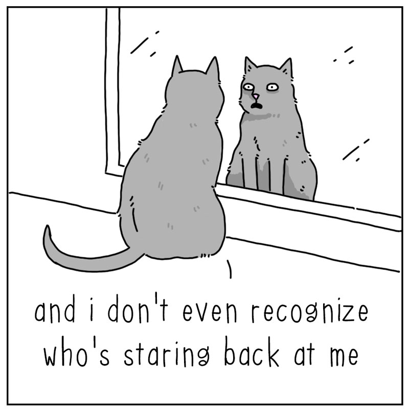 https://cdn.tinyview.com/they-can-talk/2023/04/17/mirror/cat_mirror2.jpg