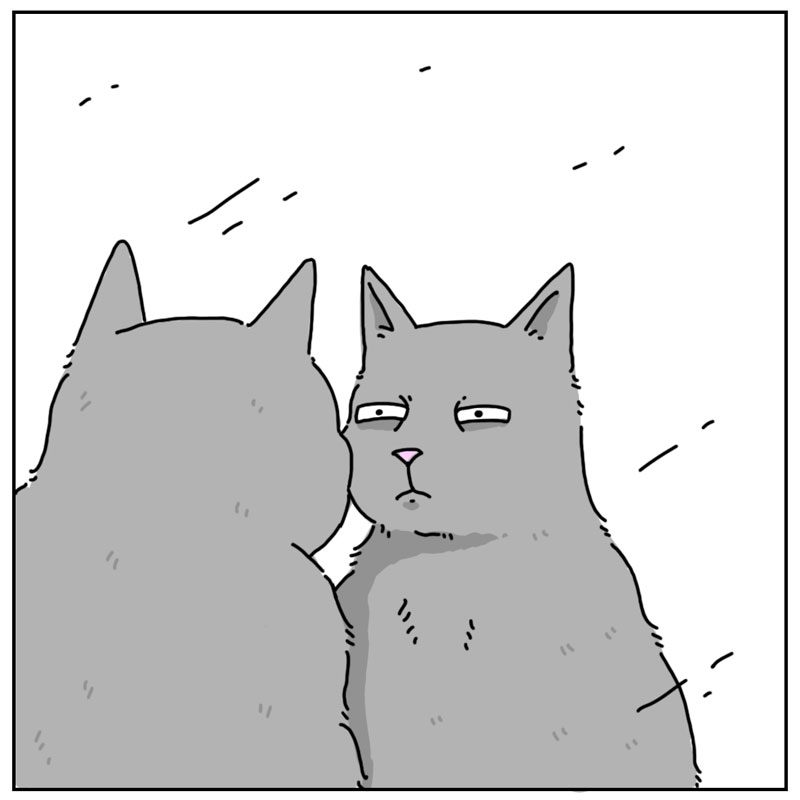 https://cdn.tinyview.com/they-can-talk/2023/04/17/mirror/cat_mirror3.jpg