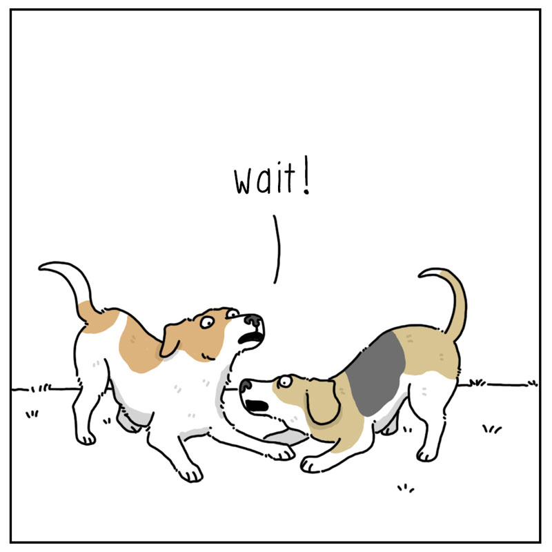https://cdn.tinyview.com/they-can-talk/2023/04/21/clarification/dog_playing1.jpg