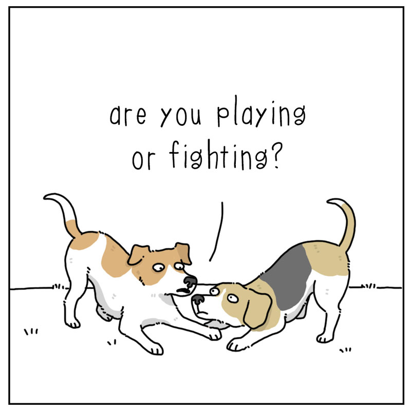 https://cdn.tinyview.com/they-can-talk/2023/04/21/clarification/dog_playing2.jpg