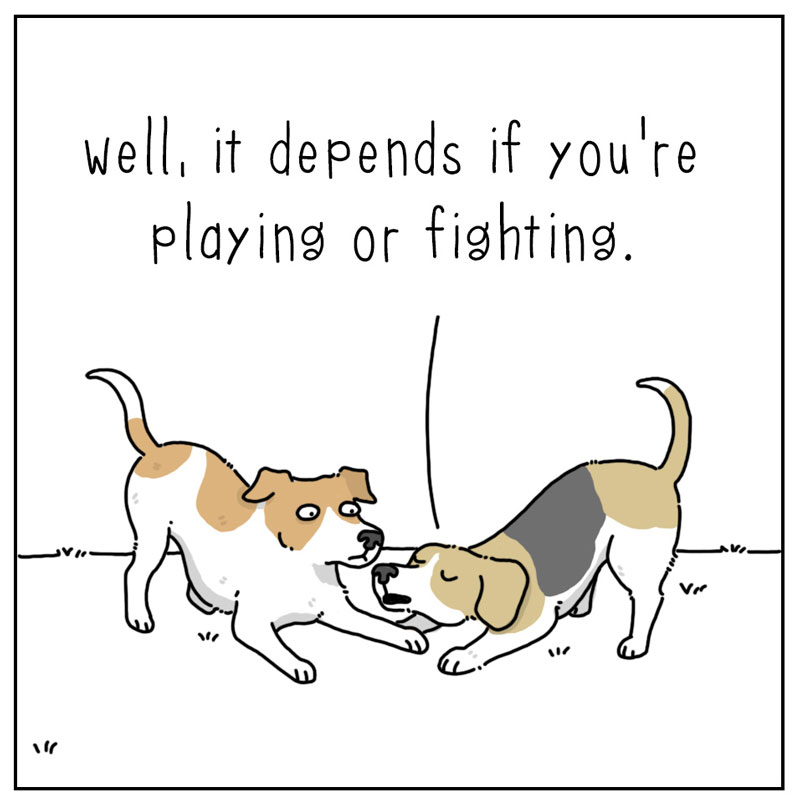 https://cdn.tinyview.com/they-can-talk/2023/04/21/clarification/dog_playing3.jpg