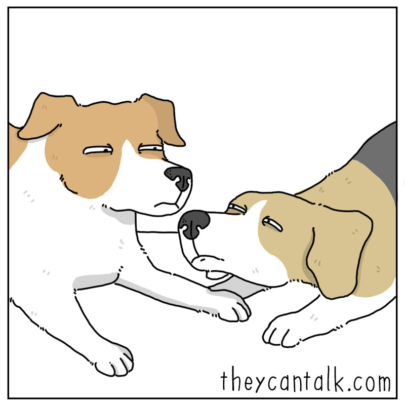 https://cdn.tinyview.com/they-can-talk/2023/04/21/clarification/dog_playing4.jpg