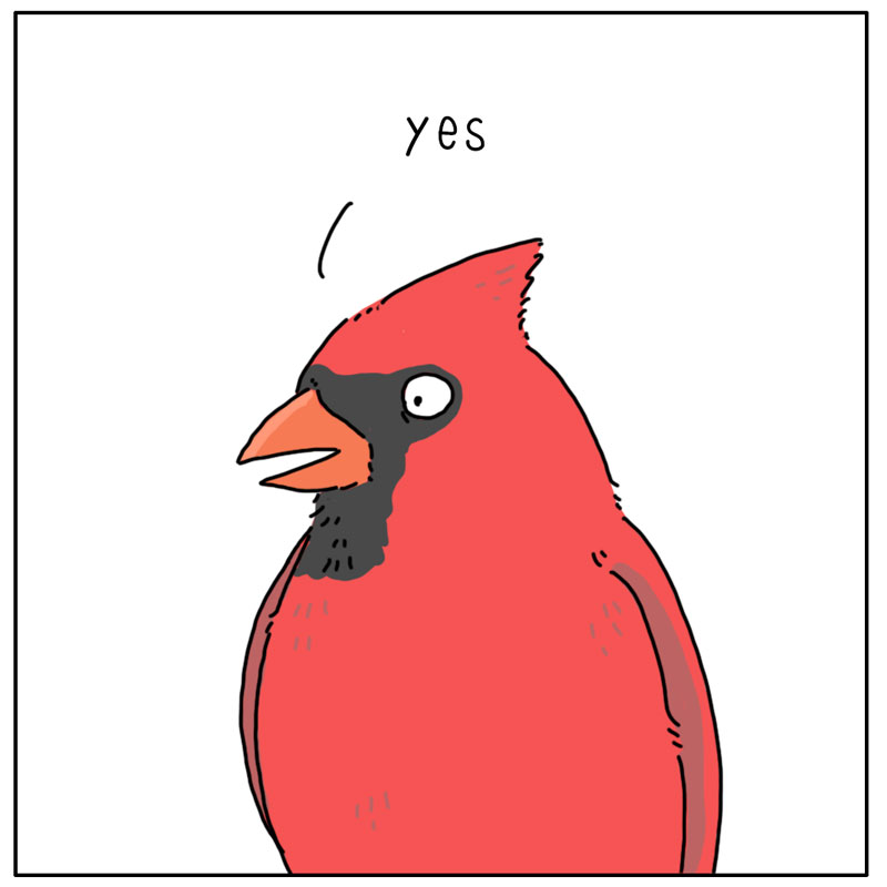 https://cdn.tinyview.com/they-can-talk/2023/04/24/bright/bird_colors2.jpg