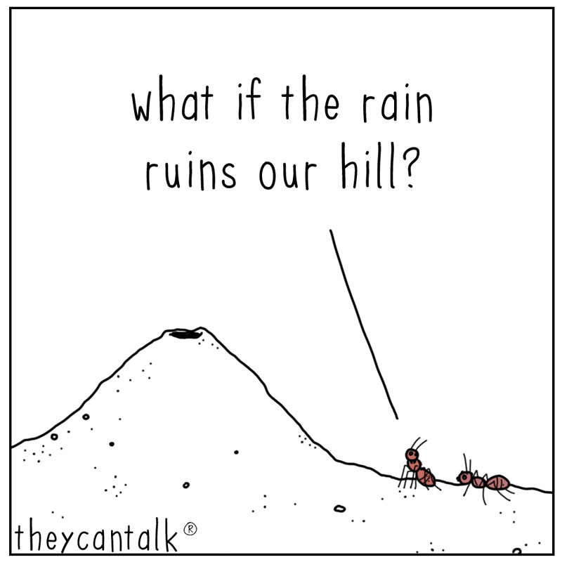 https://cdn.tinyview.com/they-can-talk/2023/04/28/persistence/ants_rain1.jpg