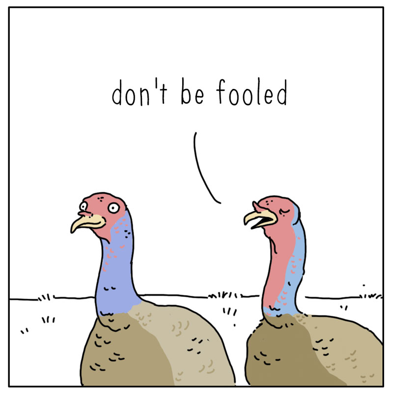 https://cdn.tinyview.com/they-can-talk/2023/05/01/fooled/turkey_fluff2.jpg