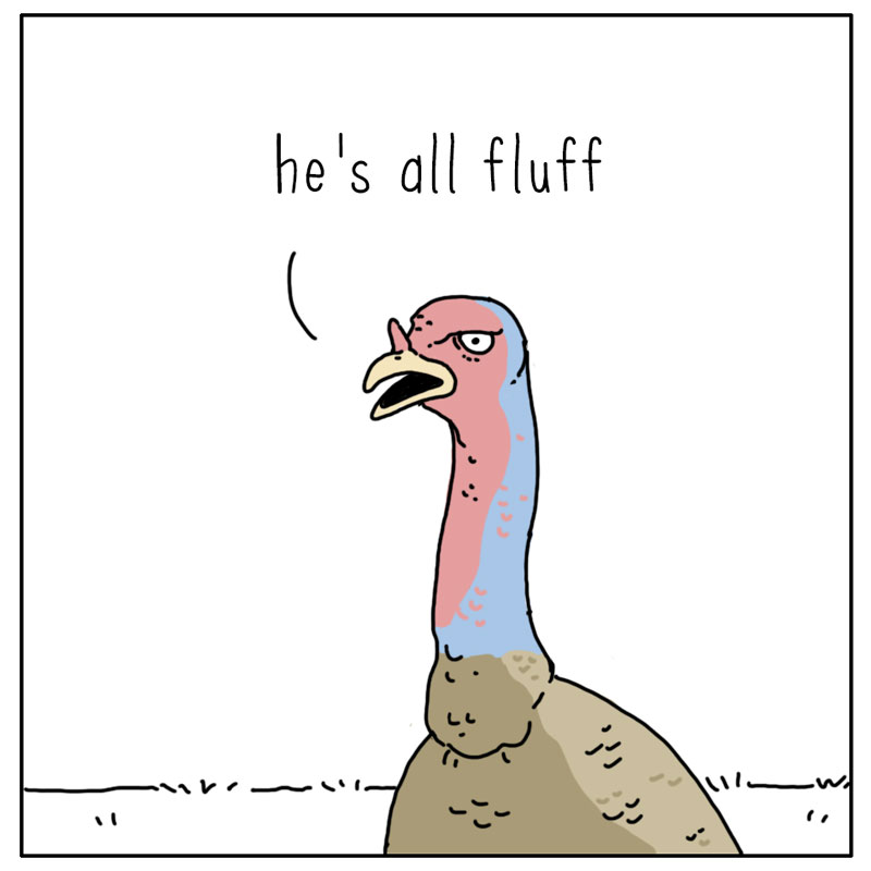 https://cdn.tinyview.com/they-can-talk/2023/05/01/fooled/turkey_fluff3.jpg