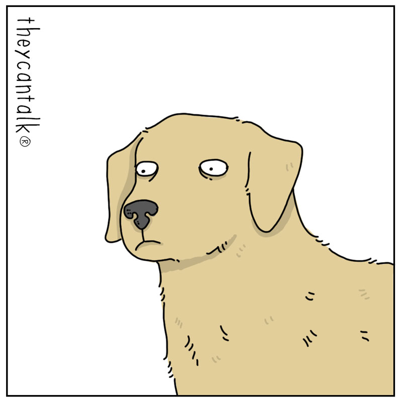 https://cdn.tinyview.com/they-can-talk/2023/05/04/stick/dog_stick3.jpg