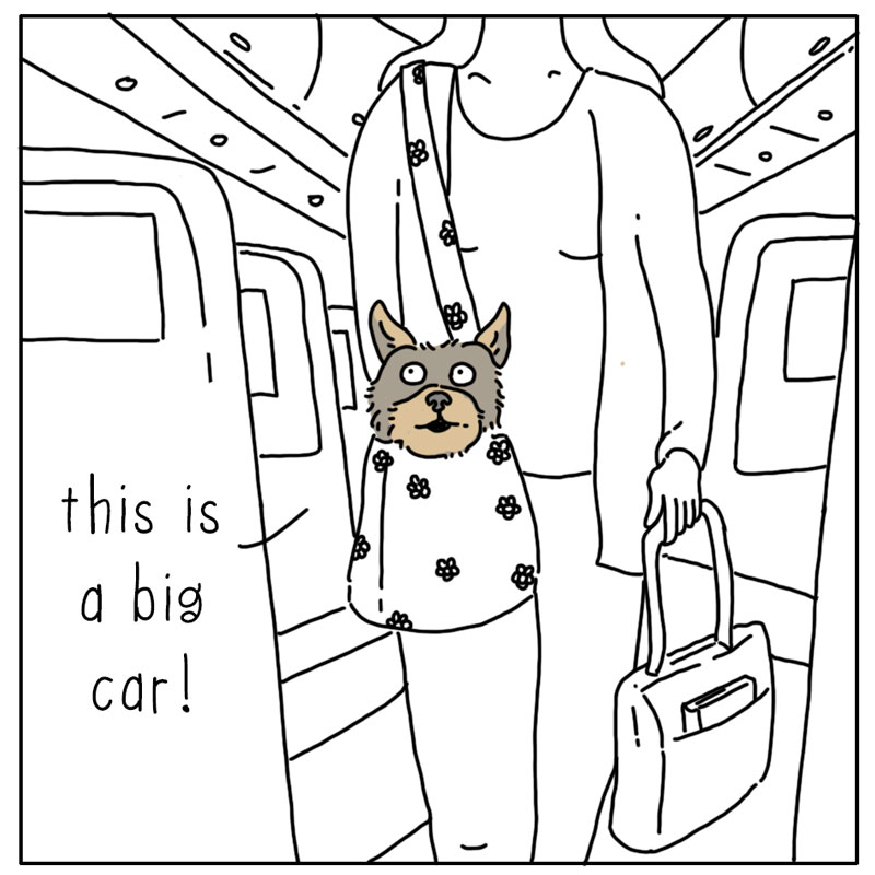 https://cdn.tinyview.com/they-can-talk/2023/05/08/plane/dog_plane.jpg