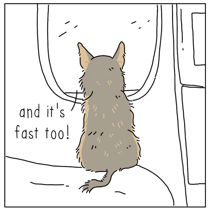 https://cdn.tinyview.com/they-can-talk/2023/05/08/plane/dog_plane2.jpg