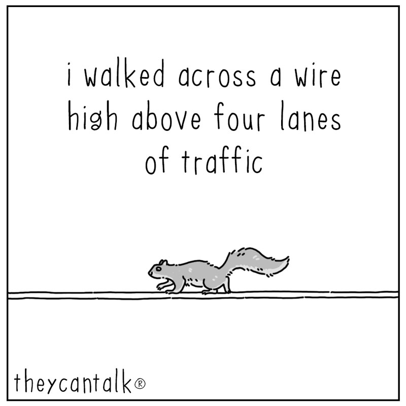 https://cdn.tinyview.com/they-can-talk/2023/05/12/hardworking/squirrell_acorn1.jpg