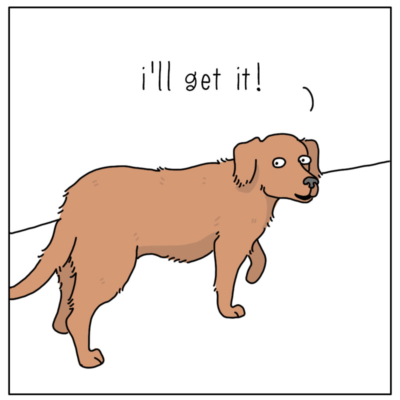 https://cdn.tinyview.com/they-can-talk/2023/05/15/doorbell/dog_doorbell2.jpg