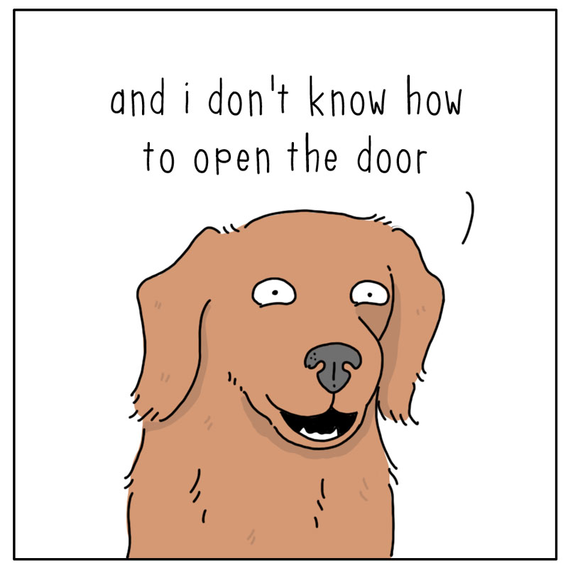https://cdn.tinyview.com/they-can-talk/2023/05/15/doorbell/dog_doorbell4.jpg