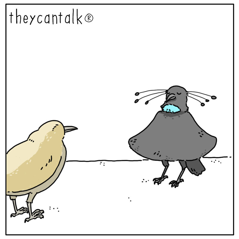 https://cdn.tinyview.com/they-can-talk/2023/05/19/performance/bird_ofparadise1.jpg