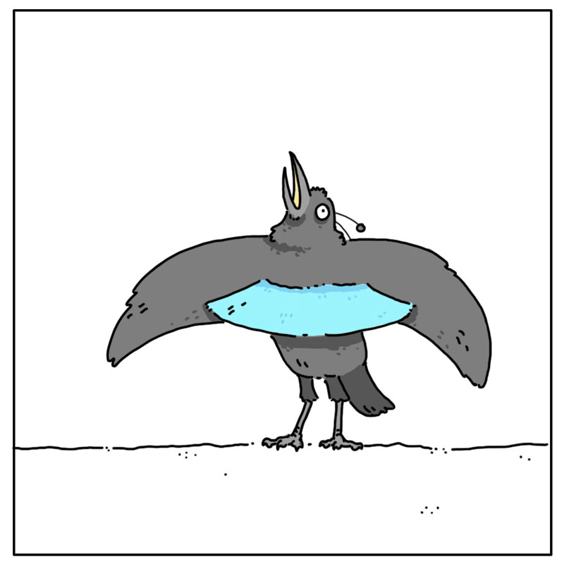 https://cdn.tinyview.com/they-can-talk/2023/05/19/performance/bird_ofparadise2.jpg