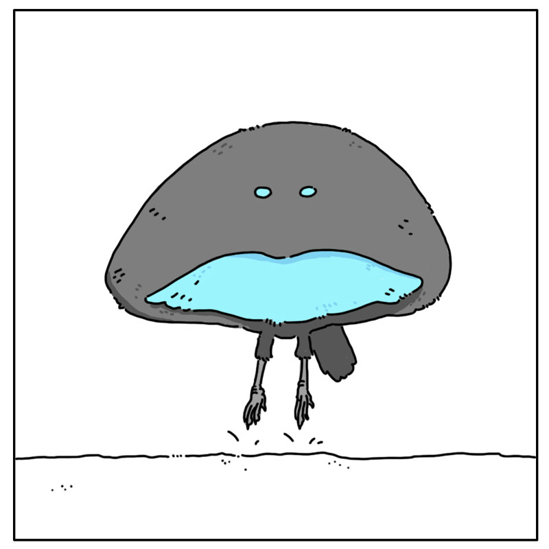 https://cdn.tinyview.com/they-can-talk/2023/05/19/performance/bird_ofparadise3.jpg
