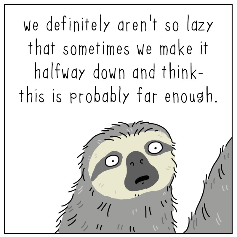 https://cdn.tinyview.com/they-can-talk/2023/05/22/lazy/sloth_lazy3.jpg