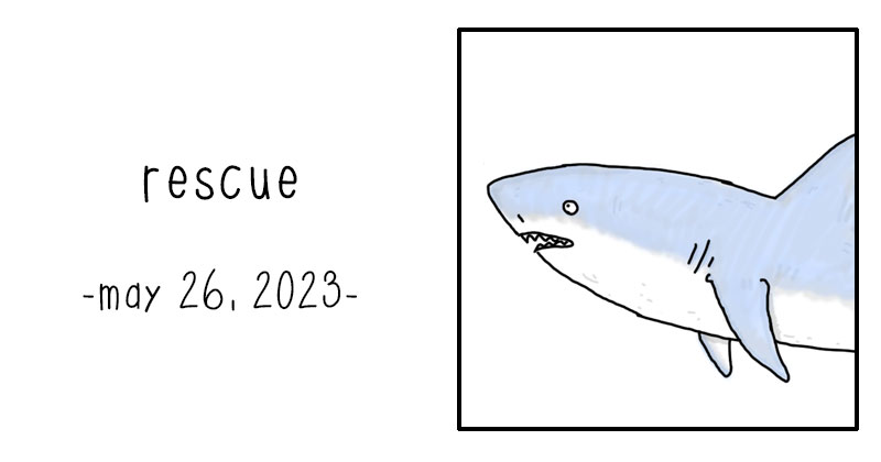 rescue