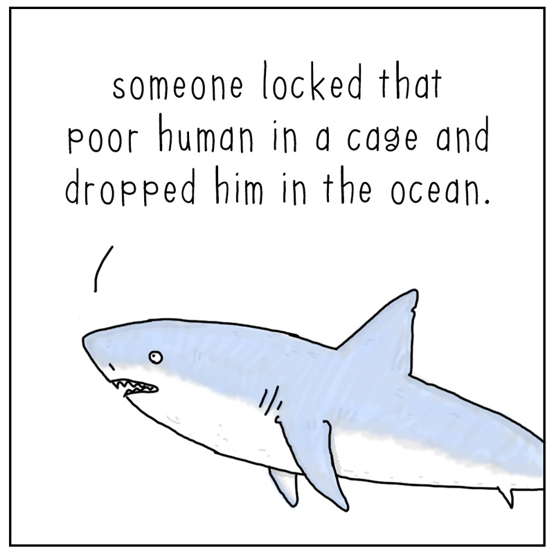 https://cdn.tinyview.com/they-can-talk/2023/05/26/rescue/shark_rescue_tv2.jpg