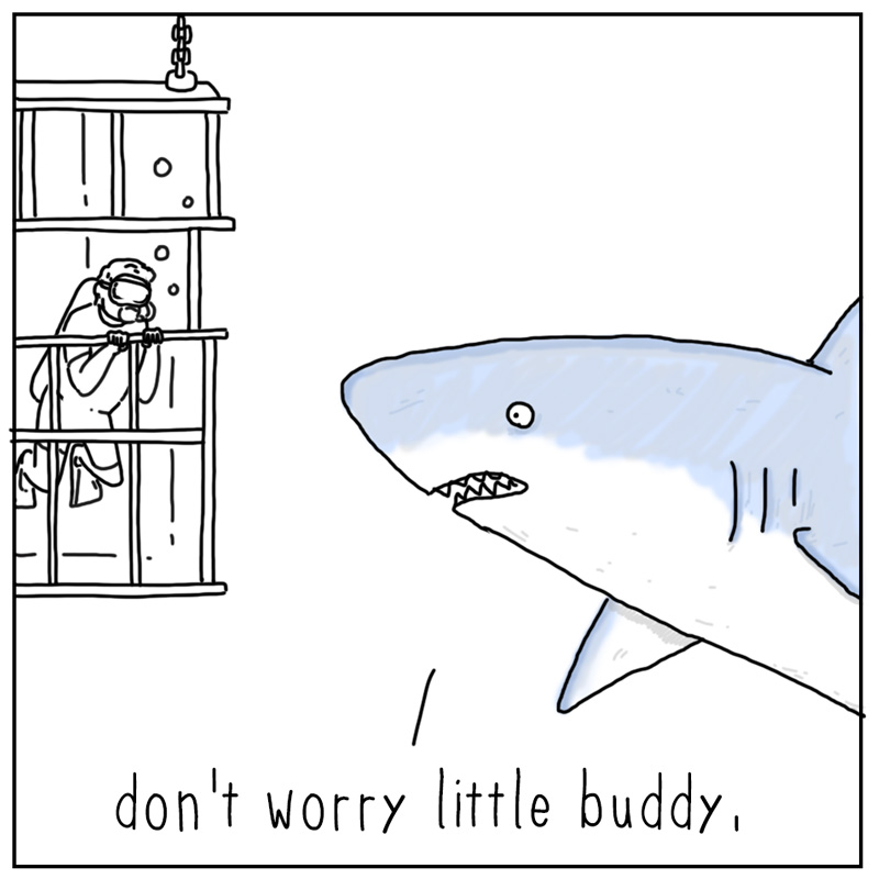 https://cdn.tinyview.com/they-can-talk/2023/05/26/rescue/shark_rescue_tv3.jpg