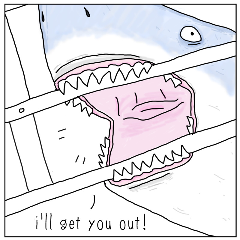 https://cdn.tinyview.com/they-can-talk/2023/05/26/rescue/shark_rescue_tv4.jpg