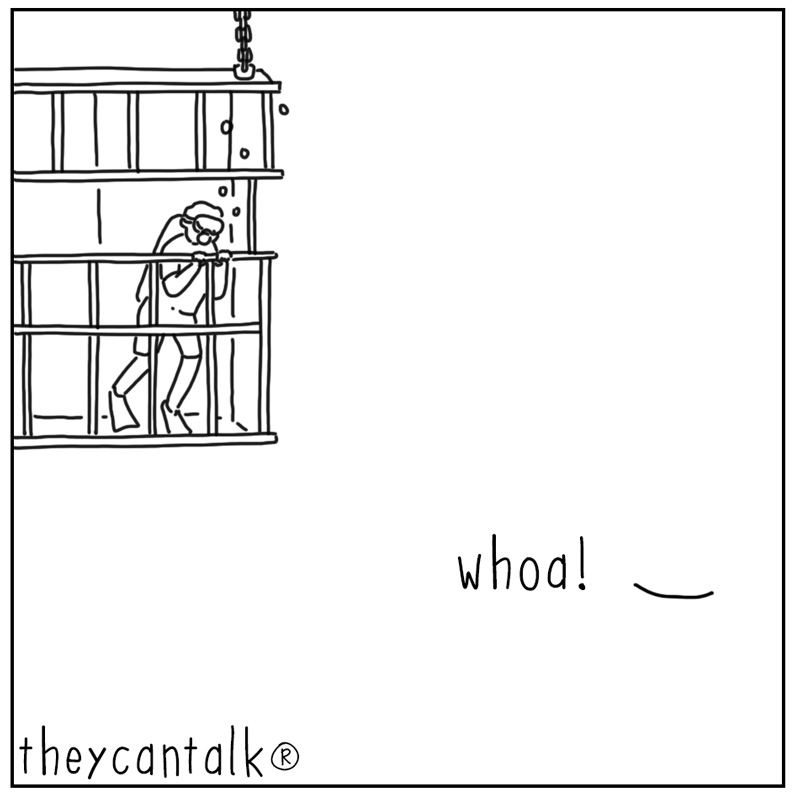 https://cdn.tinyview.com/they-can-talk/2023/05/26/rescue/shark_rescue_tv_1.jpg