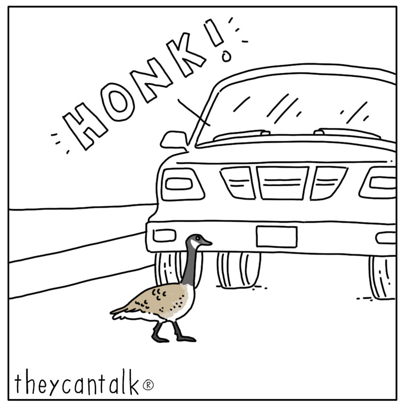 https://cdn.tinyview.com/they-can-talk/2023/05/29/honk/goose_honk1.jpg