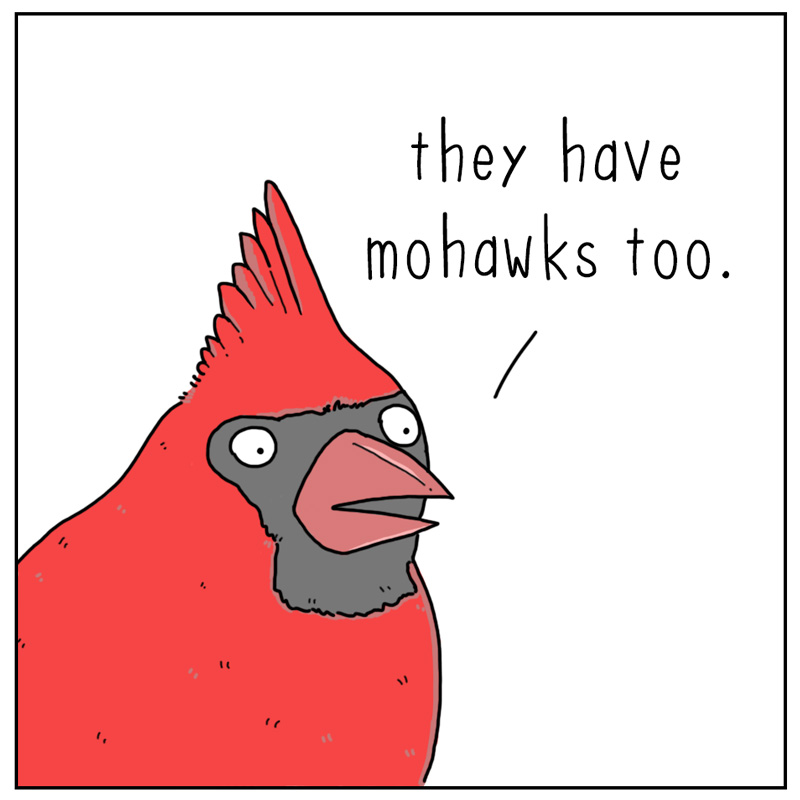 https://cdn.tinyview.com/they-can-talk/2023/06/02/mohawk/cardinal_mohawk2.jpg