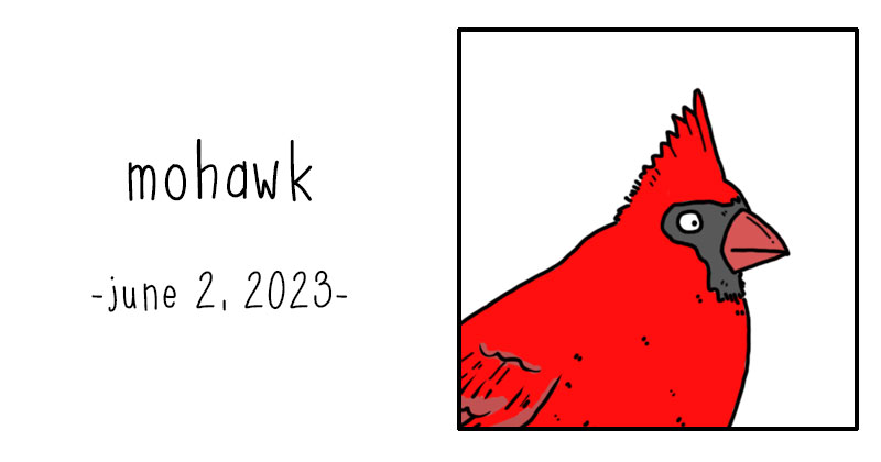 mohawk