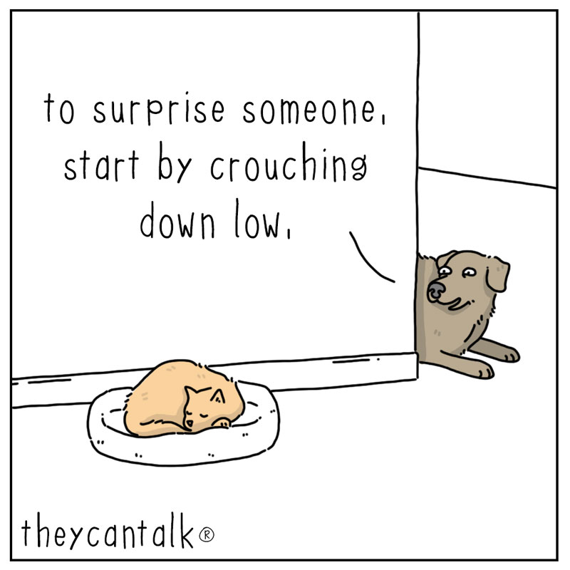 https://cdn.tinyview.com/they-can-talk/2023/06/05/surprise/dog_surprise1.jpg