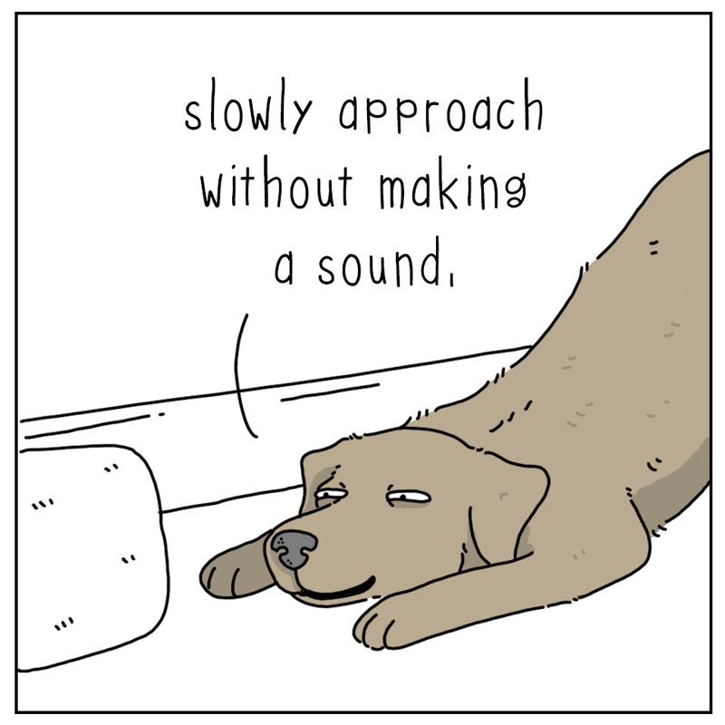https://cdn.tinyview.com/they-can-talk/2023/06/05/surprise/dog_surprise2.jpg