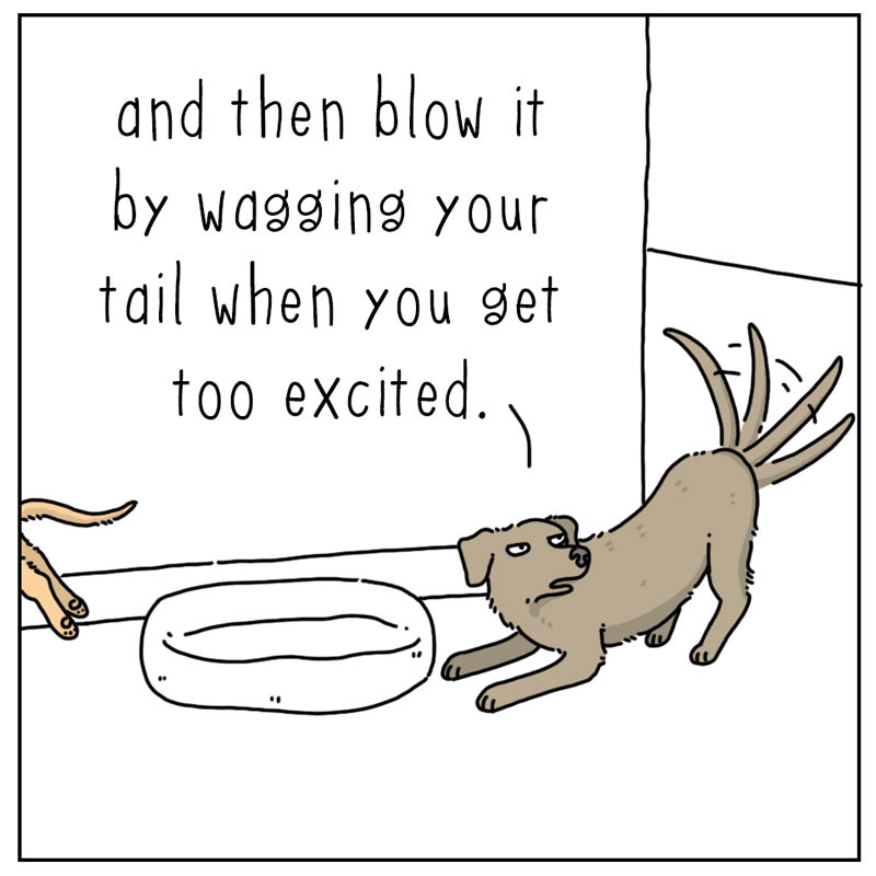 https://cdn.tinyview.com/they-can-talk/2023/06/05/surprise/dog_surprise3.jpg