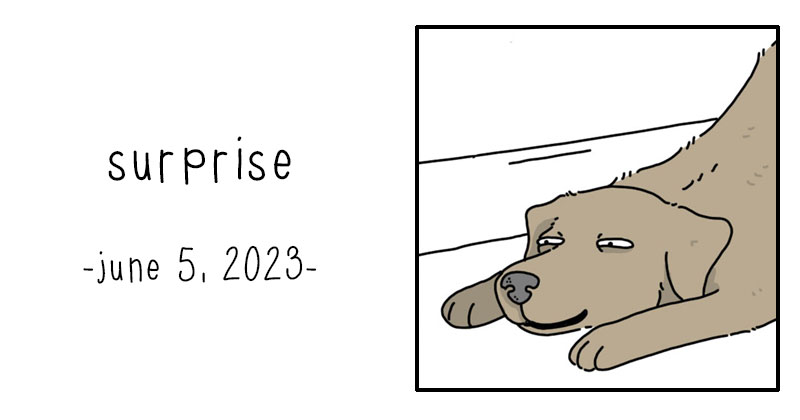 surprise